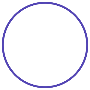 The Contents of Your Vacuum Cleaner